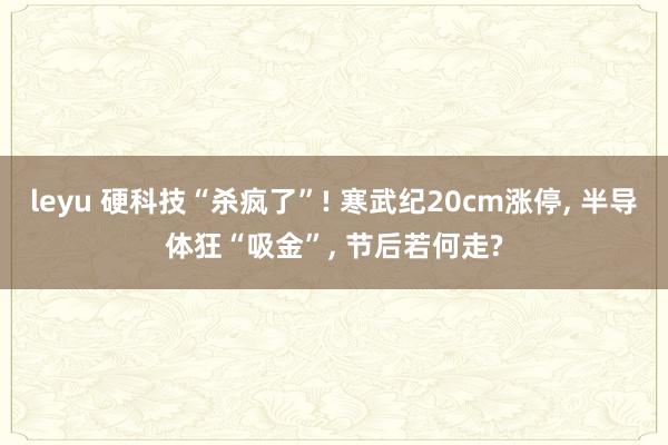 leyu 硬科技“杀疯了”! 寒武纪20cm涨停， 半导体狂“吸金”， 节后若何走?