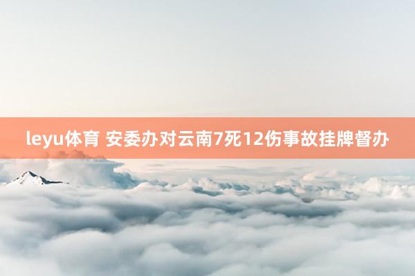 leyu体育 安委办对云南7死12伤事故挂牌督办