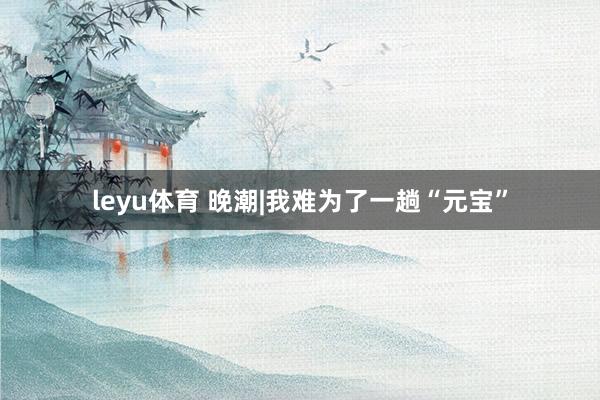 leyu体育 晚潮|我难为了一趟“元宝”