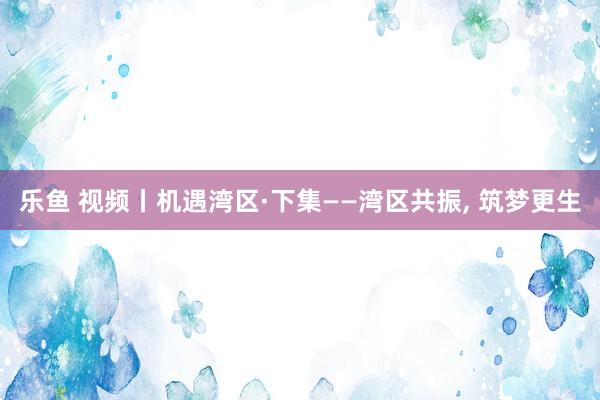 乐鱼 视频丨机遇湾区·下集——湾区共振， 筑梦更生