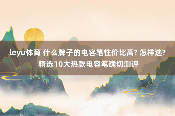 leyu体育 什么牌子的电容笔性价比高? 怎样选? 精选10大热款电容笔确切测评