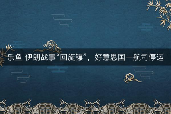 乐鱼 伊朗战事“回旋镖”，好意思国一航司停运